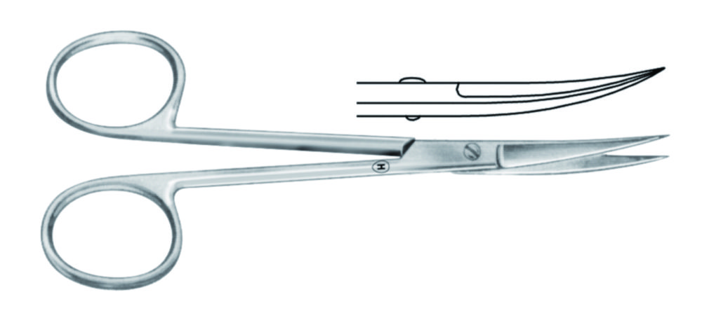 Dissecting scissors, for left-handers