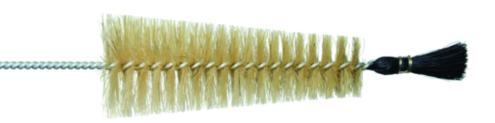 Beak brushes with head bundle, conical
