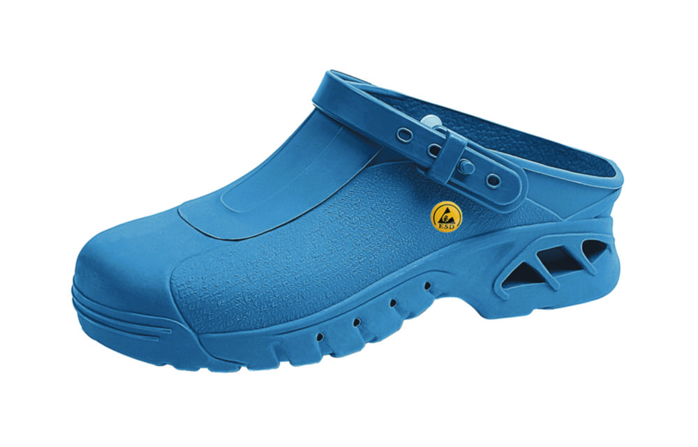 Cleanroom Clogs, ESD
