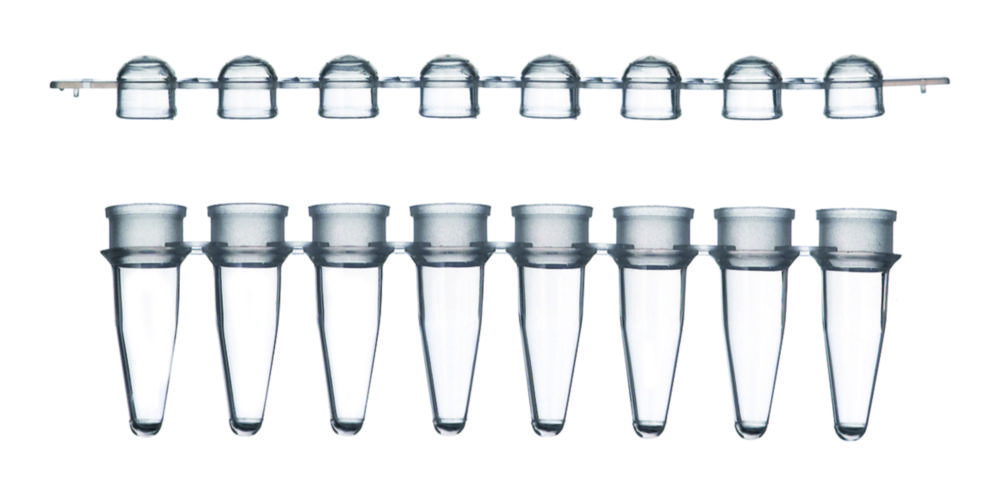 LLG-PCR-Tubes, 8er Strips mit separatem Deckelstreifen, PP