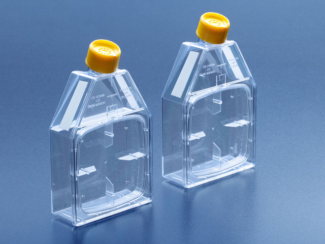 Zellkulturflasche 25 cm², PS, mit Aufreissfolie, VE=70