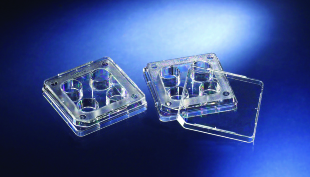 IVF 4-Well-Multischalen
