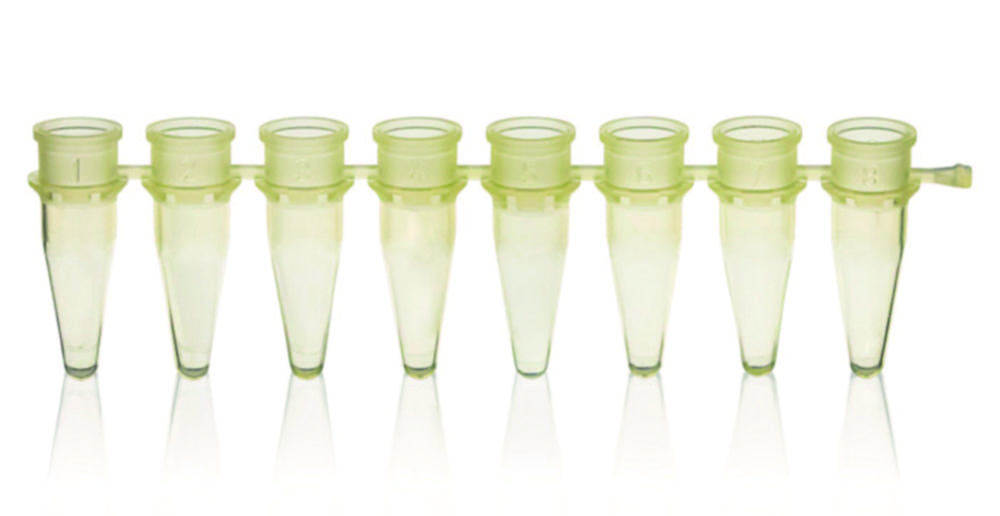 PCR tubes strips of 8, PP, without caps