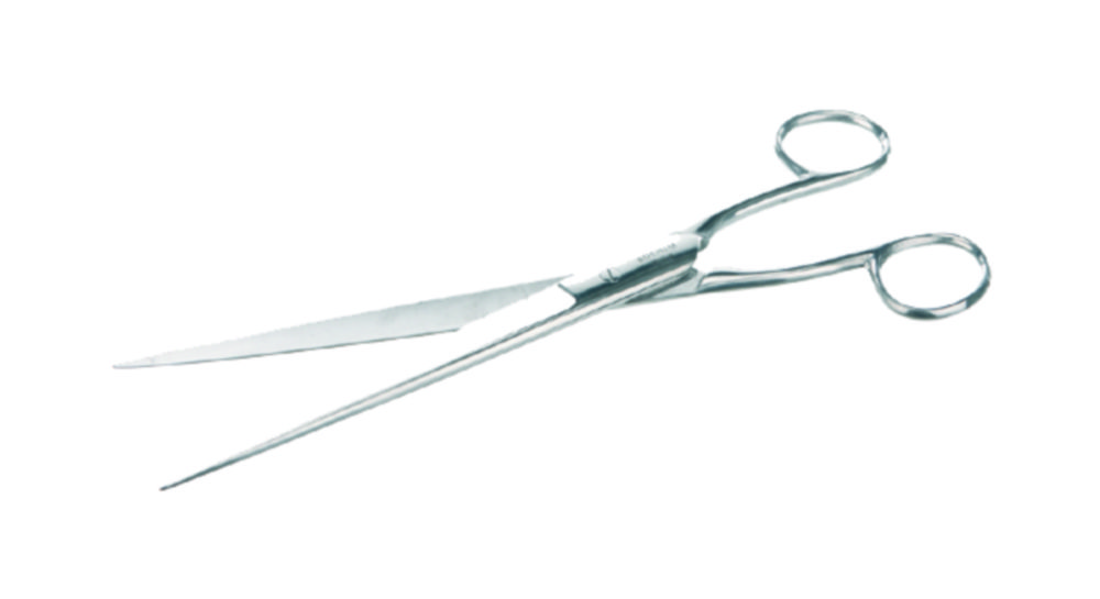 Papierschere, rostfreier Stahl