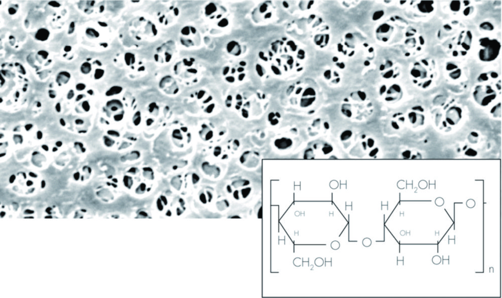 Membranfilter, Regenerierte Cellulose