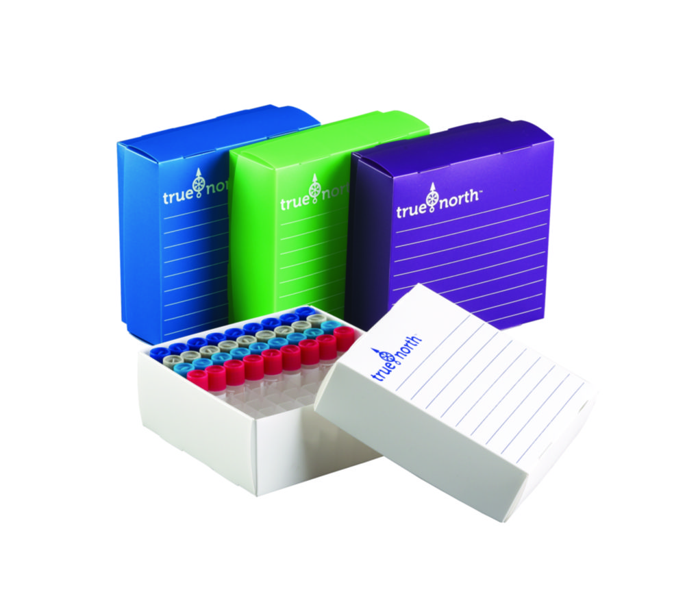 Gefrierboxen true north® Flatpack, PP-Film