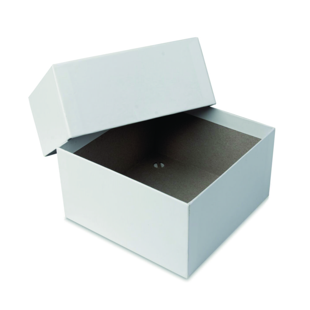 Kryoboxen, Karton, 145 x 145